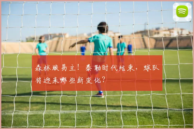 森林狼易主!泰勒时代结束,球队将迎来哪些新变化?